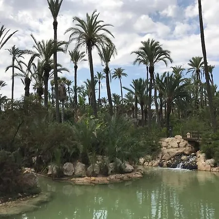 Carpe Diem Primero Alicante