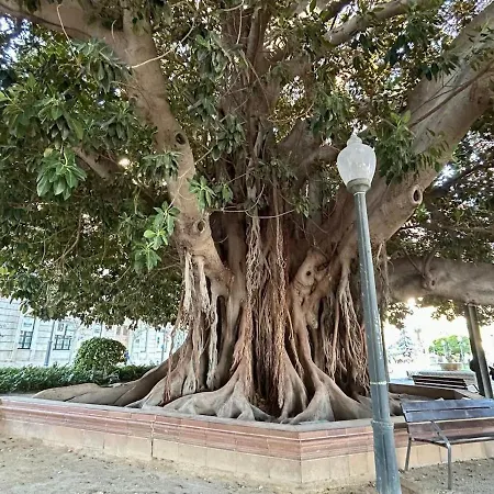 Apartment Carpe Diem Primero *